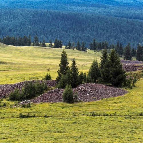 Главные сокровища Алтая в мини-группе: по Золотому кольцу с прогулкой на катере по Телецкому озеру