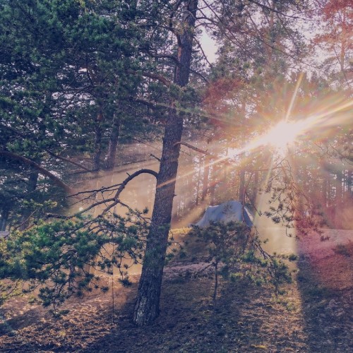 На остров за приключениями: семейный отдых на Ладоге с палатками, вожатыми и няней