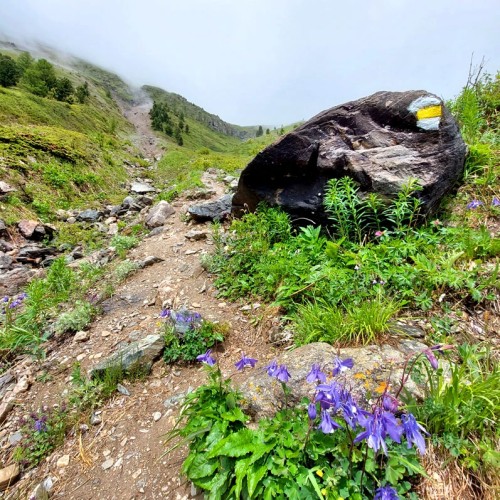 К ледникам: треккинг налегке в ущелье Актру с проживанием на турбазе