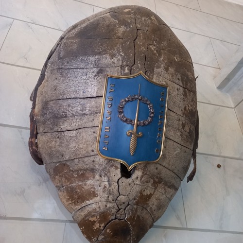 Александрия: открыть нетуристический Петергоф