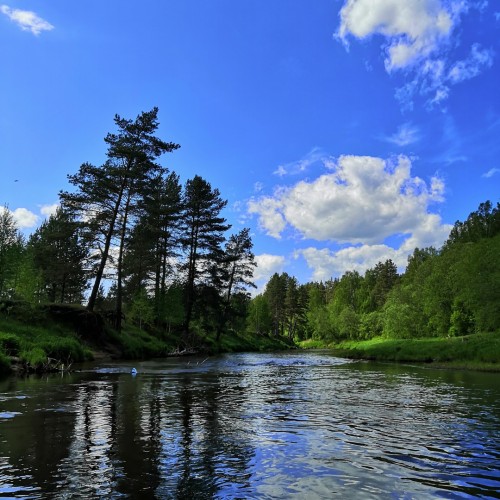 Сплав на байдарках по реке Осуге (всё включено)