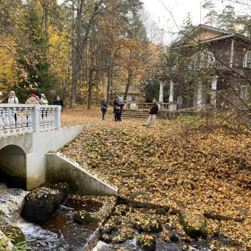 Комарово и дачный Петербург