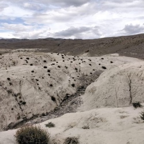 Из Новосибирска в Горный Алтай. Путешествие по топовым локациям