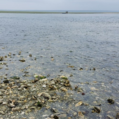 Объятый ветрами: автопутешествие по знаковым локациям Сахалина