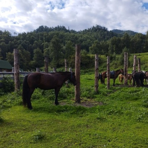Золотое кольцо Алтая: Чуйский тракт, Телецкое озеро и Чулышманская долина в мини-группе