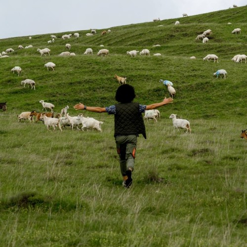 Объятия горного края: по топовым локациям Дагестана на внедорожниках