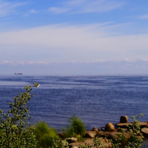 Поездка на мотоциклах в Кронштадт+Петергоф или крепость Орешек