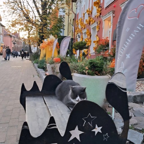 Три в одном: Куршская коса, Зеленоградск и замок Нессельбек
