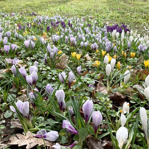 Гатчина: последний из дворцов