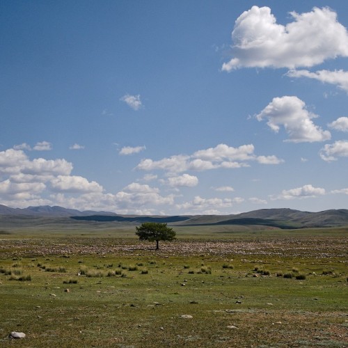 Тур по главным и редким местам Алтая на УАЗах: Чуйский тракт, горы, урочища, озёра и скалы