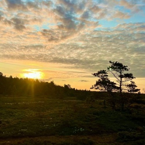 Индивидуальный джип-выезд по Терскому берегу в формате «всё включено»