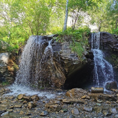 В сиреневом море цветов: весенний автотур по Чуйскому тракту