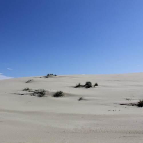 Насыщенные выходные в Калининградской области: автопутешествие только для вашей компании