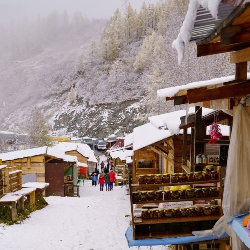 Зимний Алтай: снежные горы, незамерзающие озёра и тысяча лебедей