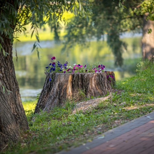 Знакомство с землёй Русской: в Старую Руссу, Великий Новгород и по местам Достоевского на минивэне