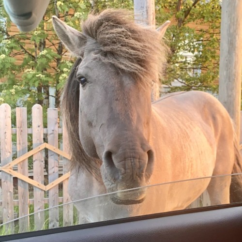 Индивидуальный джип-выезд по Терскому берегу в формате «всё включено»