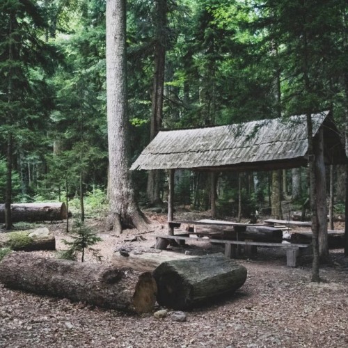 От Псебая до Красной Поляны: поход по горам с выходом к морю