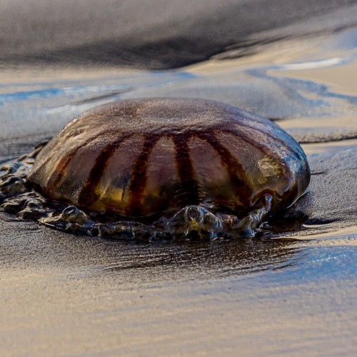 На Итуруп за впечатлениями: большое путешествие по топовым локациям острова