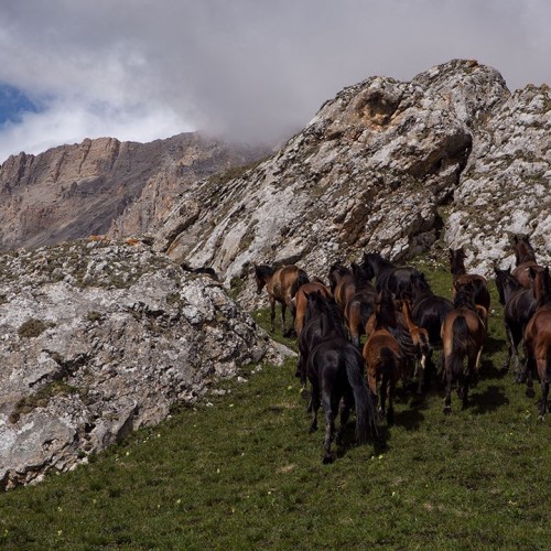 Индивидуально на внедорожнике из КМВ в Домбай