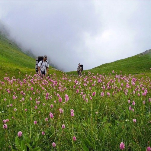 От Псебая до Красной Поляны: поход по горам с выходом к морю