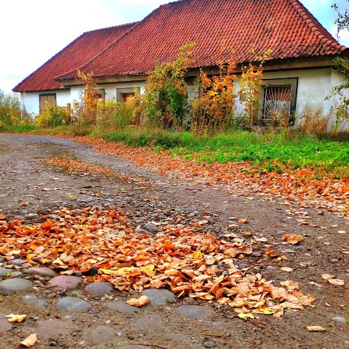 Сокровища Фридланда и Гердауэна: семейный квест