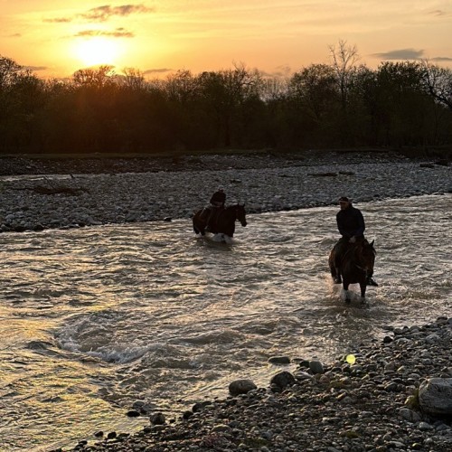 Галопом по Карачаево-Черкесии: конный выезд для опытных всадников