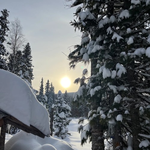 В самое сердце Северного Урала: путешествие «всё включено» на плато Маньпупунёр