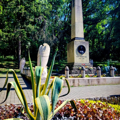 Туда, где горы и минеральная вода: Кисловодск, Пятигорск, Ессентуки и Домбай