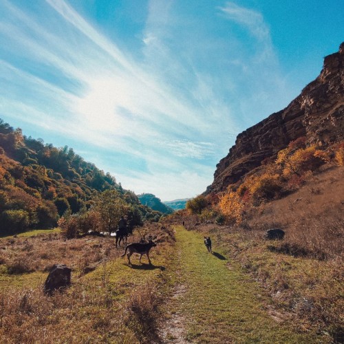 Индивидуальный отпуск в Кисловодске с экскурсиями по курортам КМВ, КЧР и КБР