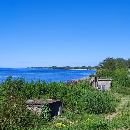 Экскурсия 3 в 1: Кронштадт + батарея Демидов + заказник Западный Котлин