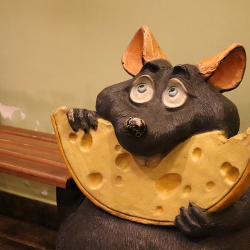 Костромской трип: выходные на Волге с посещением лосиной фермы и дегустацией в Музее сыра