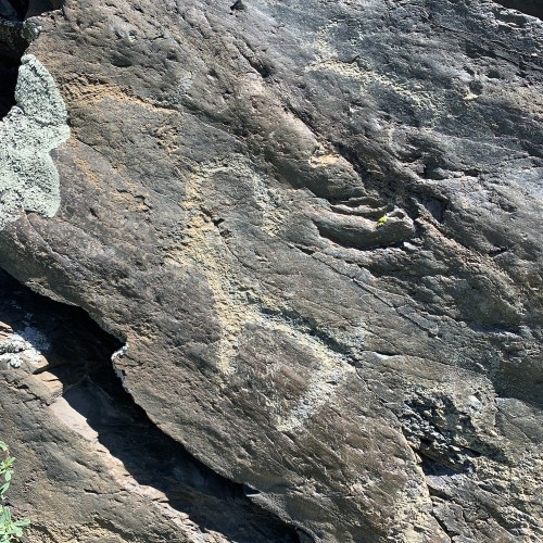 Сердце Алтая: легенды и тайны Чемальского тракта