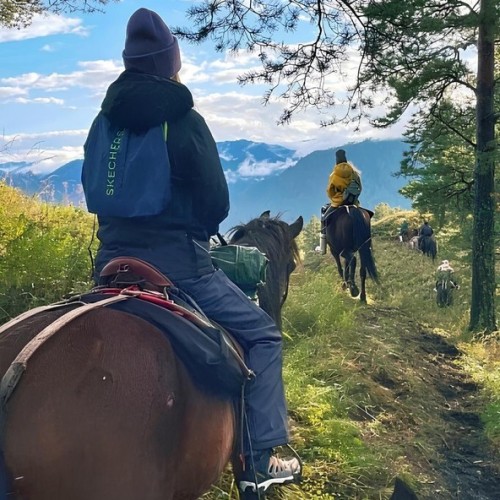 По цветущему Алтаю верхом: конный тур с проживанием на базе (всё включено)