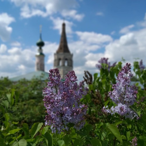 Суздаль. Ха-ха-ха