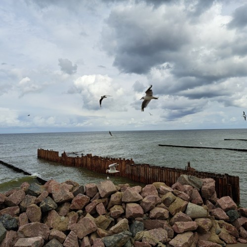 Морская экспедиция на паруснике: из Санкт-Петербурга в Калининград