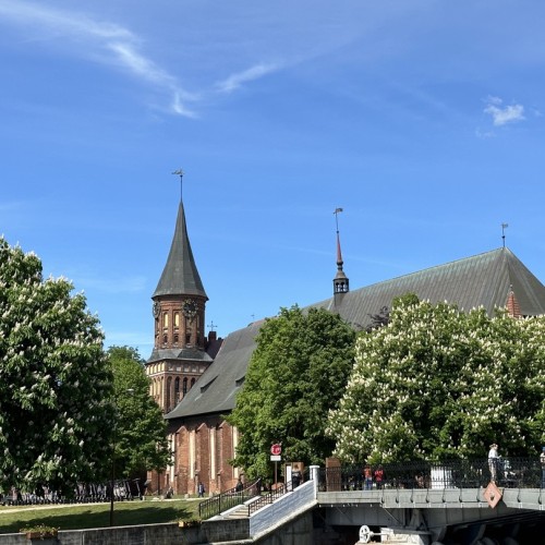 На майские в город кошек: выходные в Зеленоградске с прогулкой по Калининграду и Кушской косе