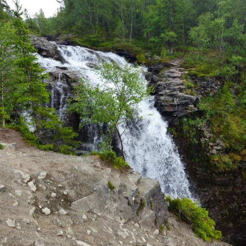 Океан впечатлений в Арктике: морская прогулка, треккинг и джип-тур в Хибины