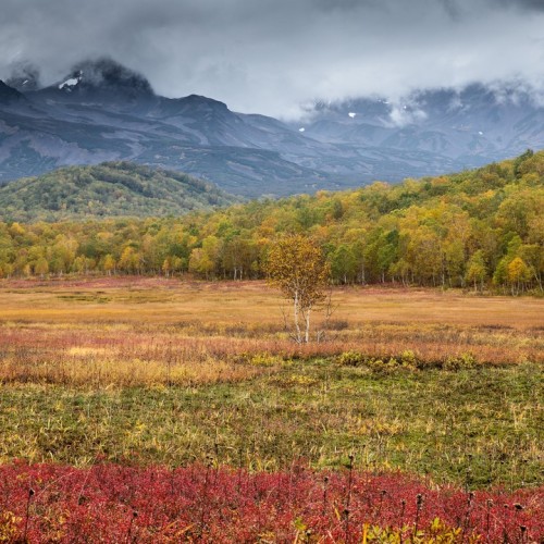 Большой поход с рюкзаками и палатками по Камчатке: вулканы, Тихий океан, термы и альпийские луга