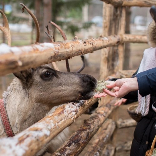 Выходные в сказочной Карелии: основные локации и культура Русского Севера