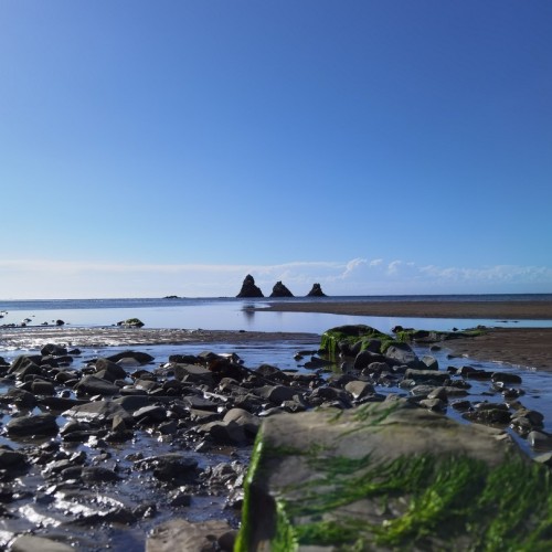 Сахалин с историей: автопутешествие-детокс с ночёвками в палатках на природе (индивидуально)