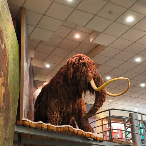 В Якутию на традиционный праздник Ысыах с посещением Ленских столбов и водными прогулками