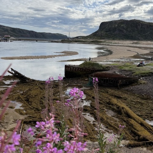 Экспресс-выезд в Териберку: гастрономия, северное сияние, главные места, хаски и олени