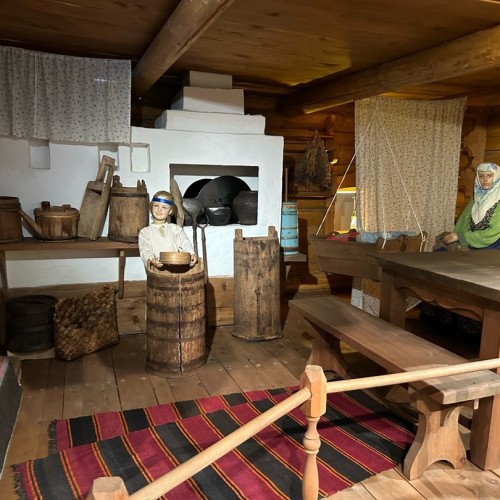 Алтайский отпуск: Телецкое озеро, живописные долины и другие знаковые места