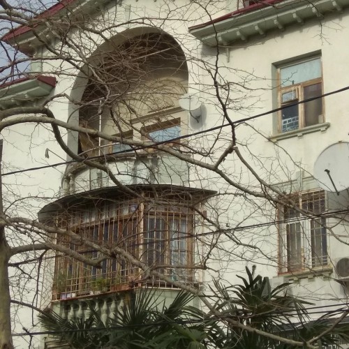 Дачные истории старого Сочи