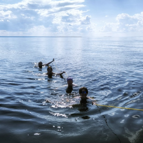 Выходные под парусами на Рыбинском море с проживанием в палатке: всё включено
