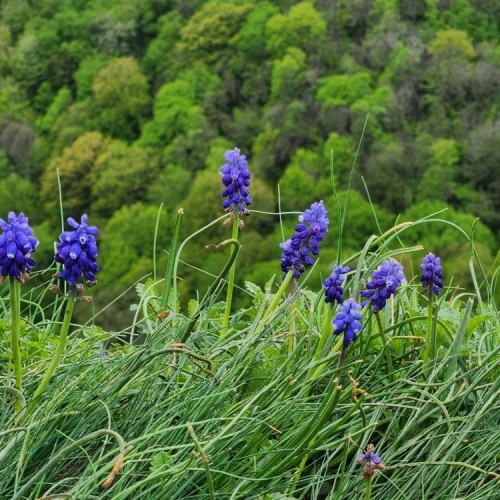 Адыгея для всей семьи: прогулки, мастер-классы и водные процедуры