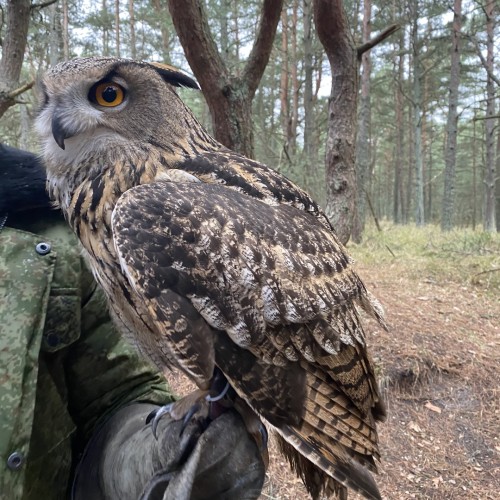 Живописные уголки янтарного края: по Калининградской области в мини-группе