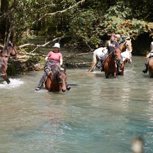 Верхом по Архызу: поездка для конников с любой подготовкой