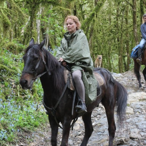 Приключения на лошадях в Сочи для новичков и опытных: по ущельям, долинам и лесам