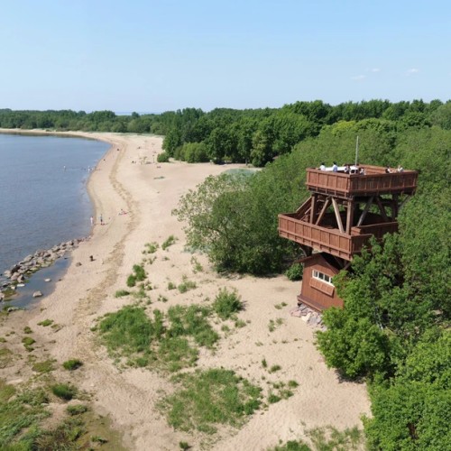 Из Петербурга в Кронштадт: поездка с краеведом в город-крепость